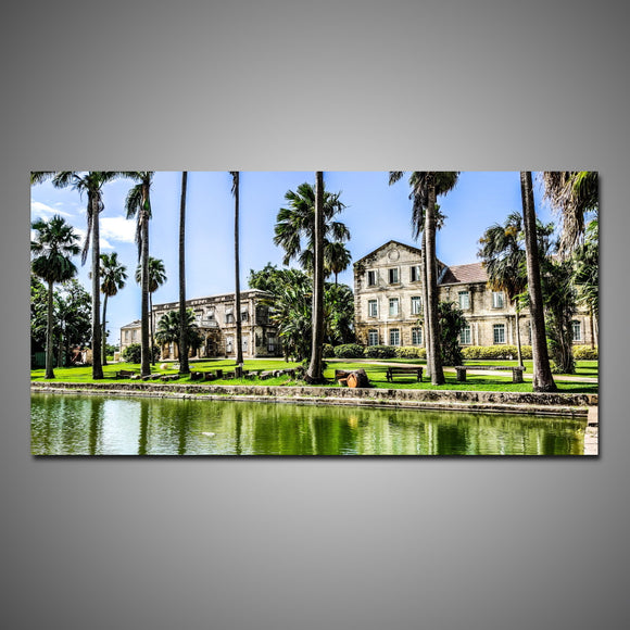 Codrington College (Bdos Stock)