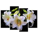 White Lilies (Bdos Stock)